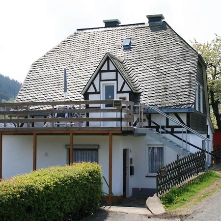 Cosy Apartment In Schwalefeld Near Willingen With Private Terrace Exteriér fotografie
