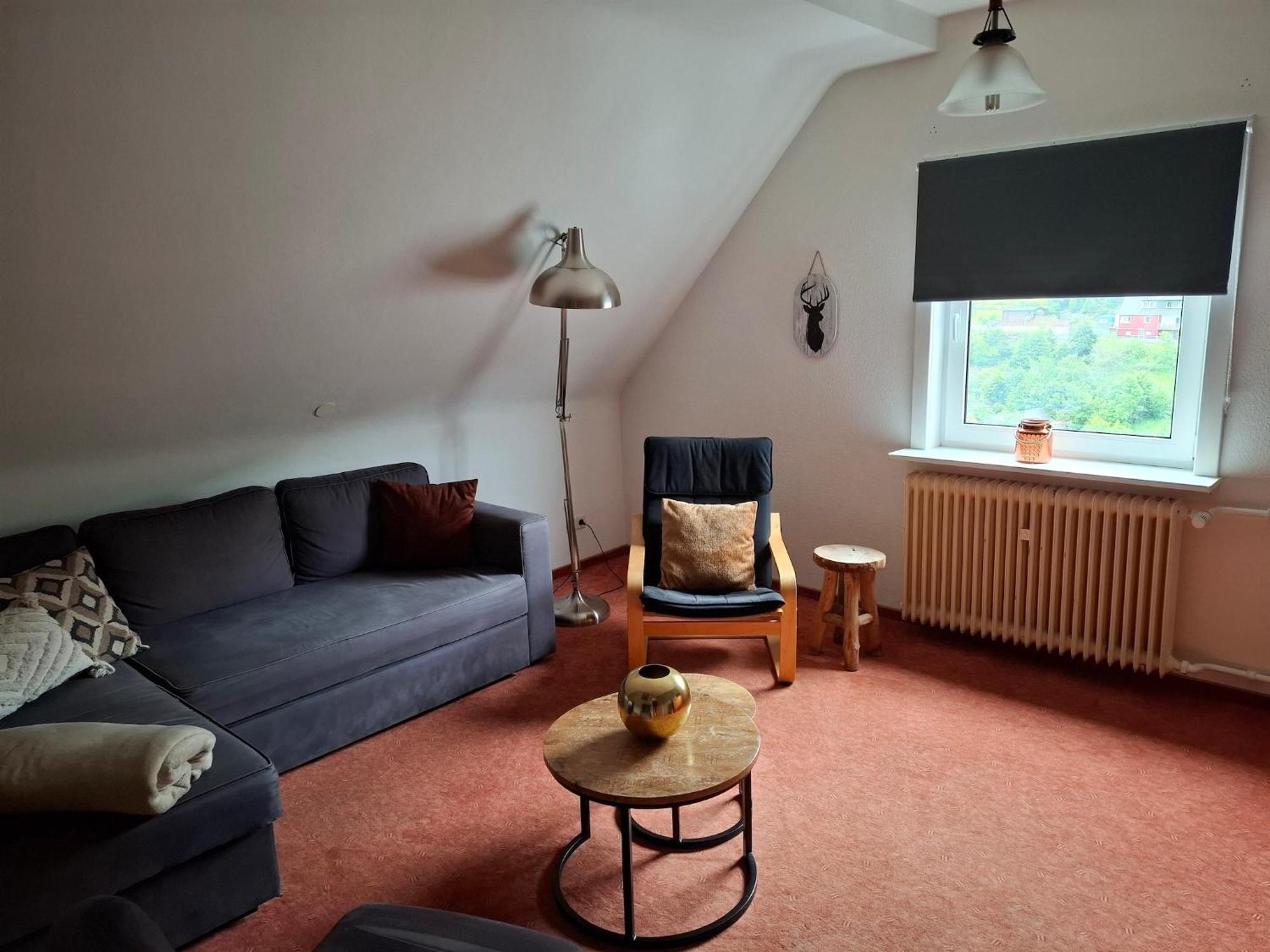 Cosy Apartment In Schwalefeld Near Willingen With Private Terrace Exteriér fotografie