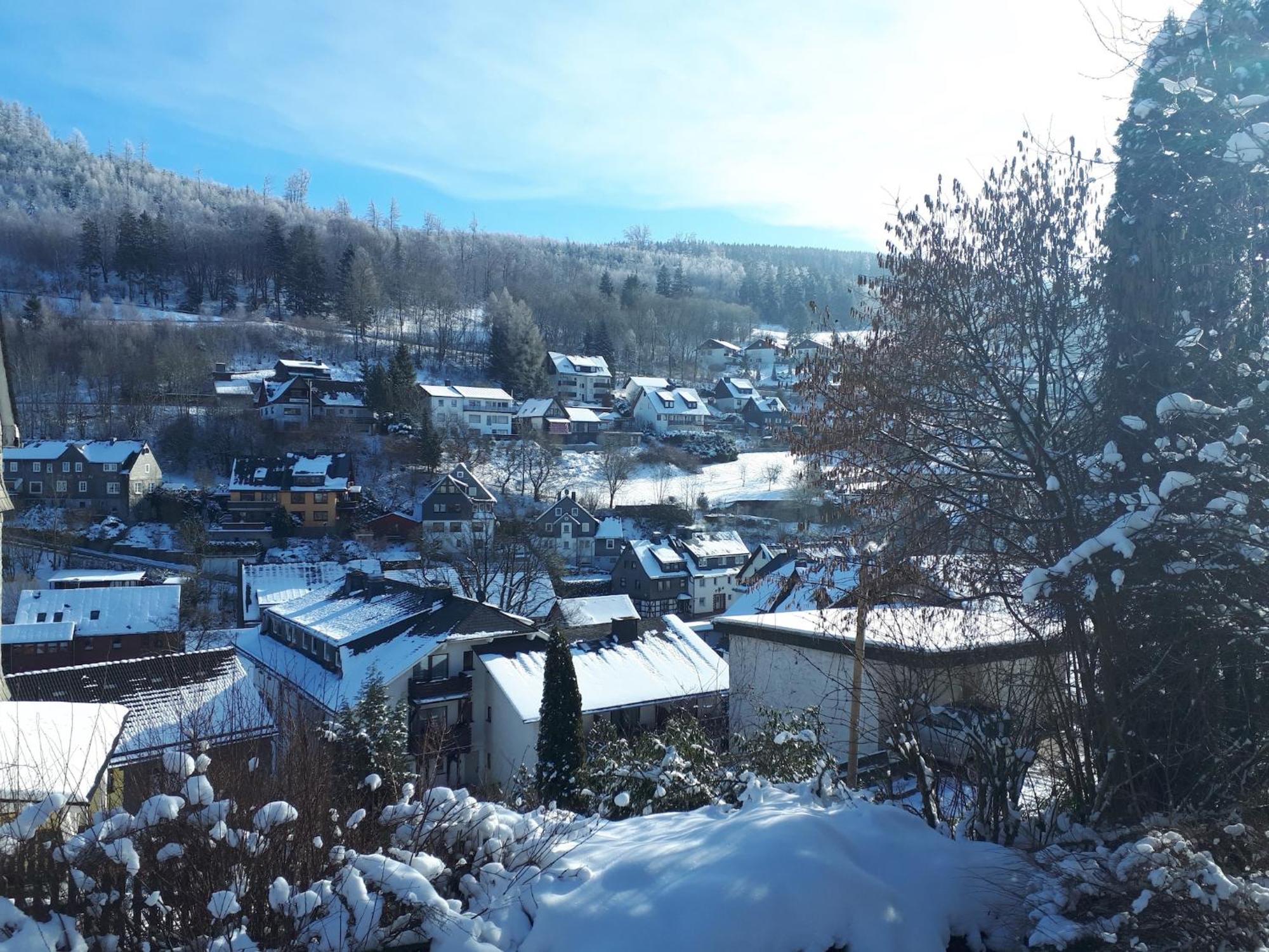 Cosy Apartment In Schwalefeld Near Willingen With Private Terrace Exteriér fotografie